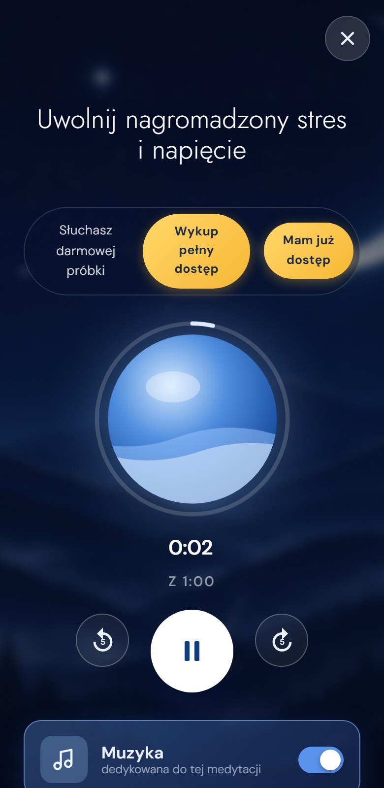 Odtwarzacz
